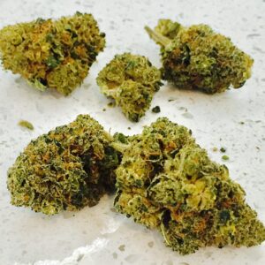 Boutons de fleurs OG Kush CBD