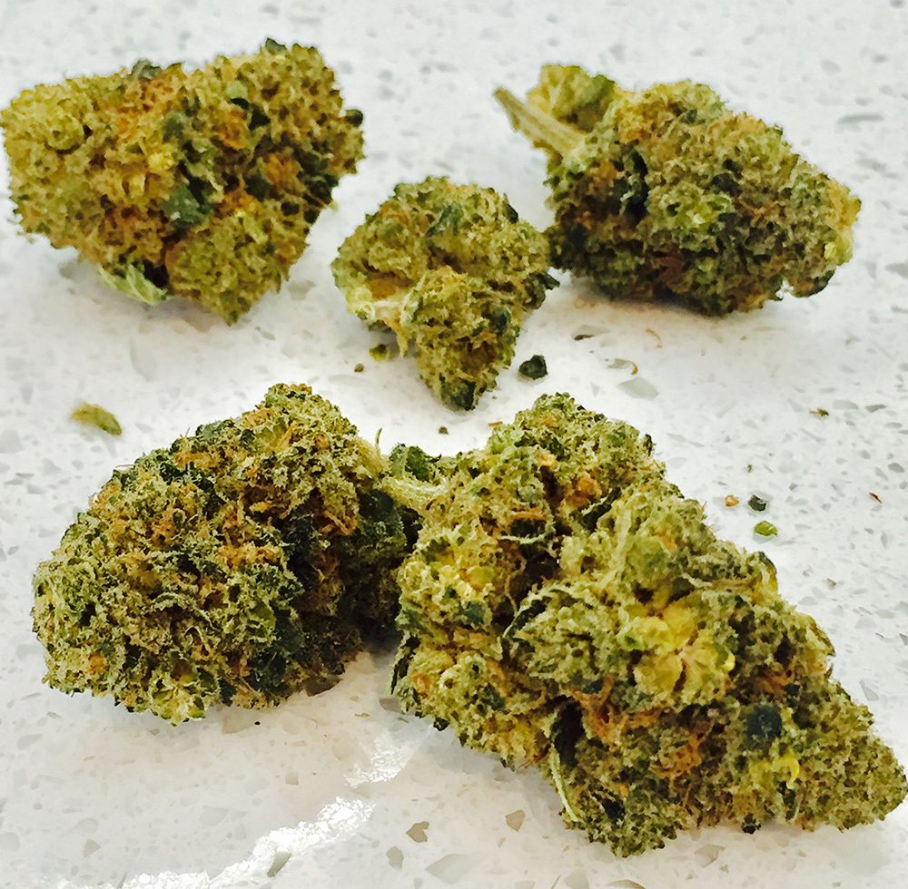OG Kush CBD The CBD Flower Shop