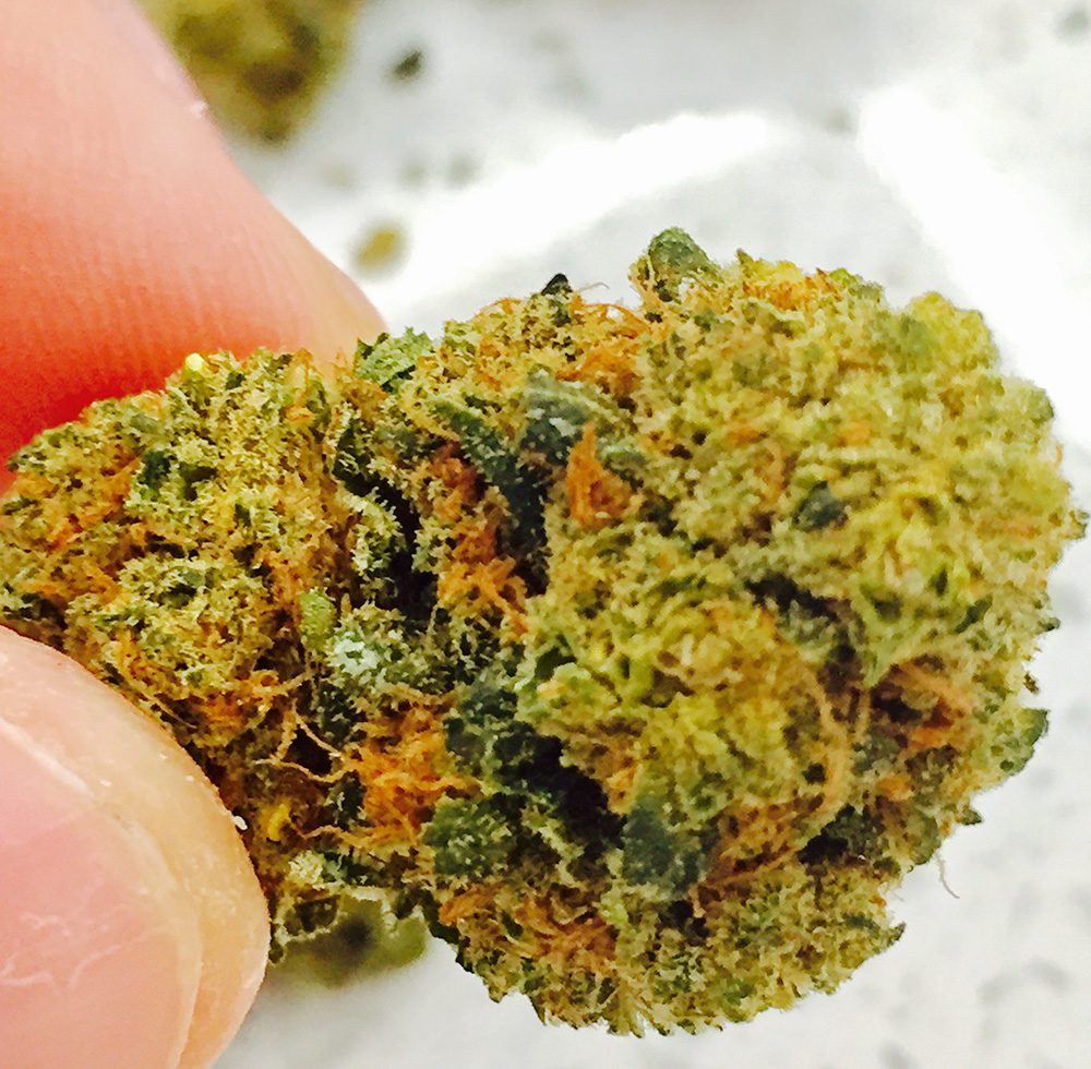 OG Kush CBD The CBD Flower Shop