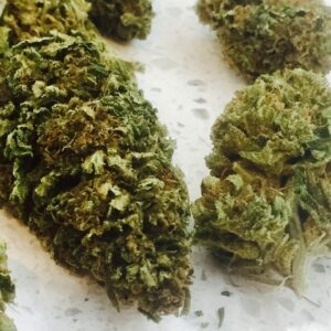 Boutons de fleurs CBD White Widow