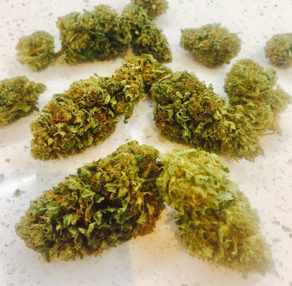 White Widow CBD The CBD Flower Shop