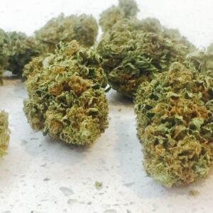 Boutons de fleurs CBD White Widow