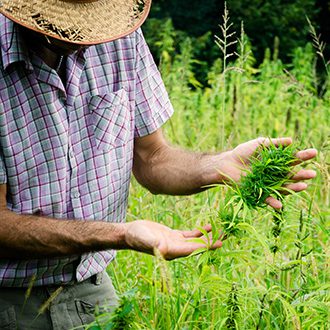 Hemp Farmers