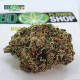 og kush cbd flower bud