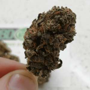 CBD Gelato
