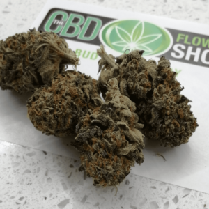 CBD Gelato Bud