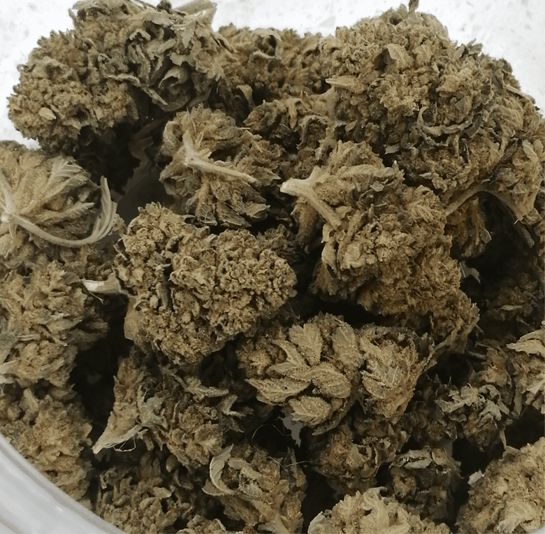 Pineapple Crush CBD The CBD Flower Shop