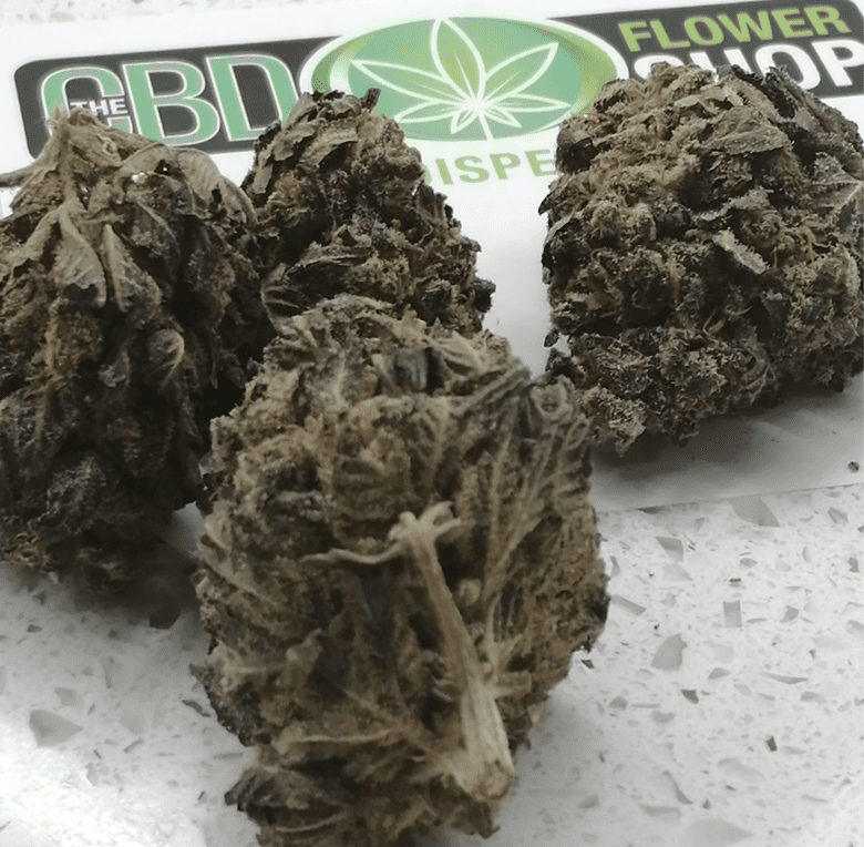 Purple Diesel CBD The CBD Flower Shop