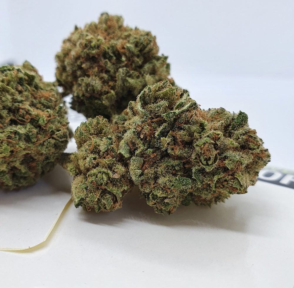 Pineapple crush CBD flower buds