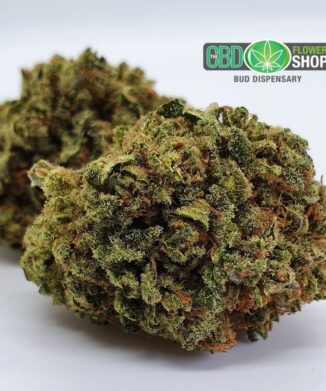 Pineapple crush CBD flower buds