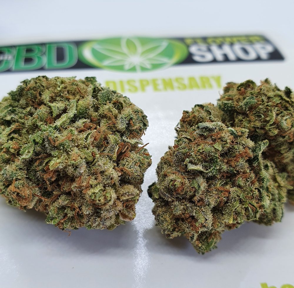 Pineapple crush cbd flower buds