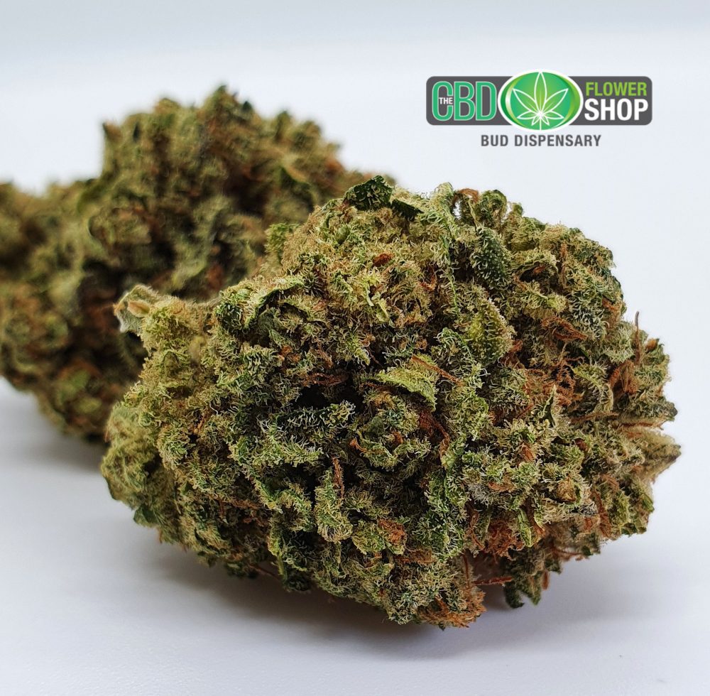 Pineapple crush CBD flower buds