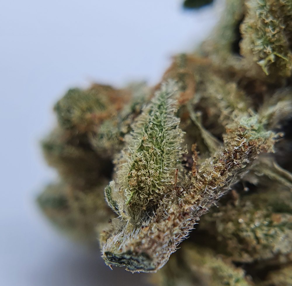 Pineapple crush CBD flower close up