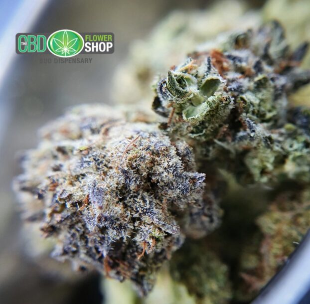 CBD popcorn nuggies buds