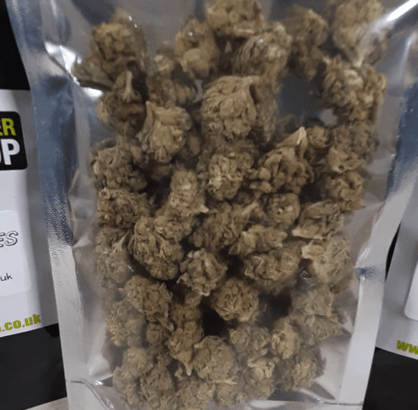 Popcorn Nuggies CBD The Flower Shop