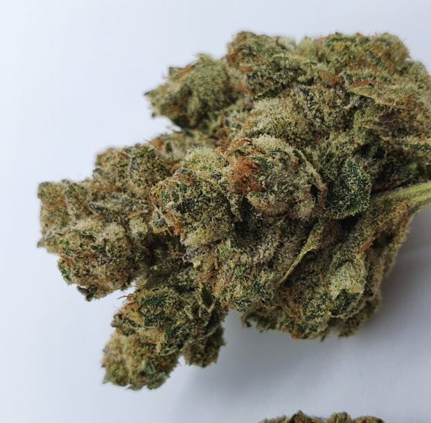 Chocolope Strain CBD Flower - Image 2