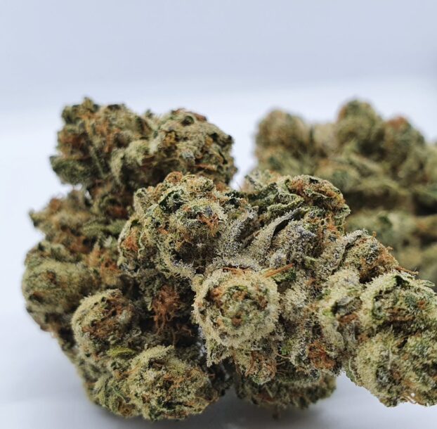 Chocolope Strain CBD Flower - Image 3