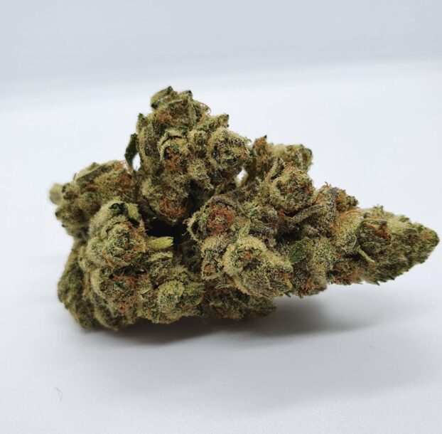 CBD Hemp Flower bud