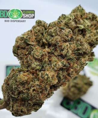 The CBD Flower Shop CBD Flower close-up
