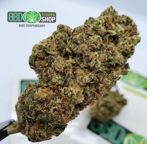 The CBD Flower Shop CBD Flower close-up
