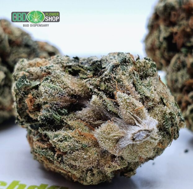 OG Kush Whole Hemp CBD Tea Flower - Image 3
