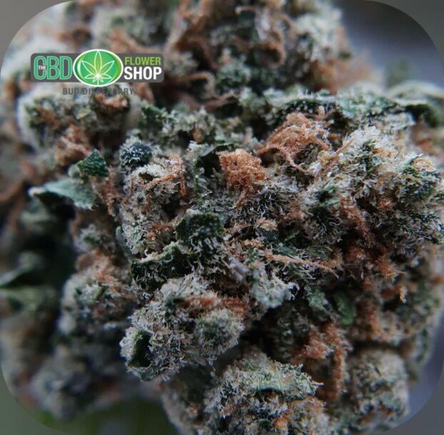 OG Kush Whole Hemp CBD Tea Flower - Image 6