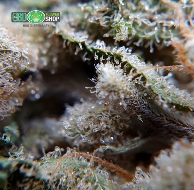 OG Kush Whole Hemp CBD Tea Flower - Image 8