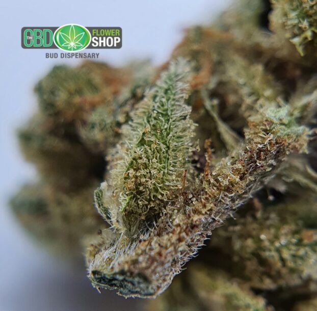 Pineapple Crush CBD Flower - Image 12