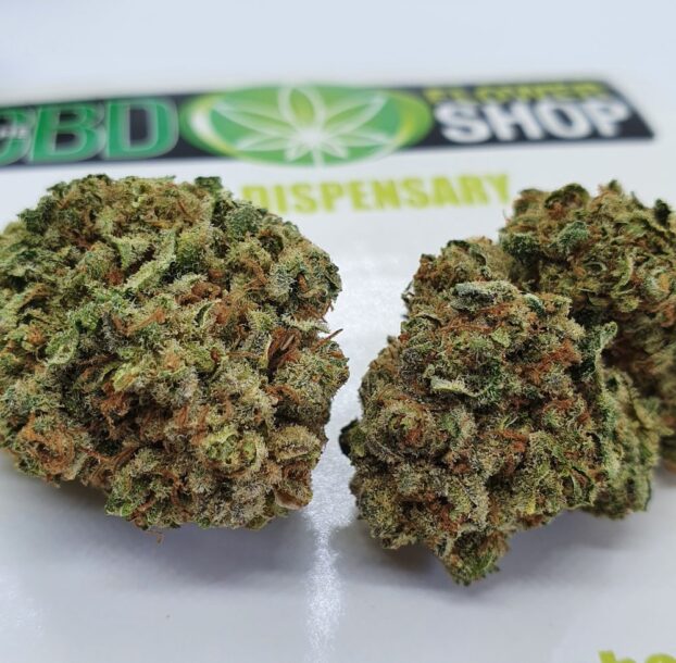 Pineapple Crush CBD Flower - Image 2