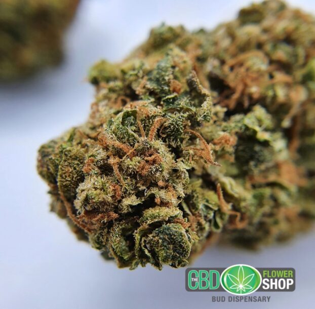 AK 47 - Whole Flower Hemp CBD Tea - Image 4