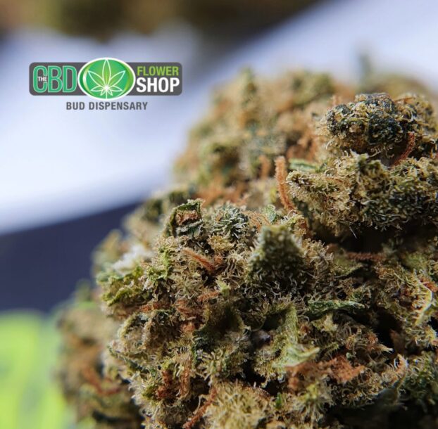 AK 47 - Whole Flower Hemp CBD Tea - Image 5