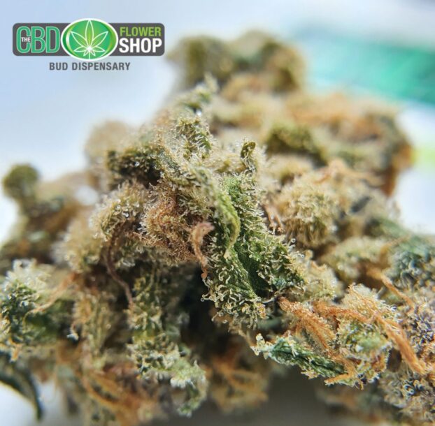 Platinum OG CBD Flower - Image 10