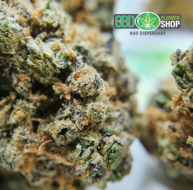 Platinum OG CBD Flower - Image 11