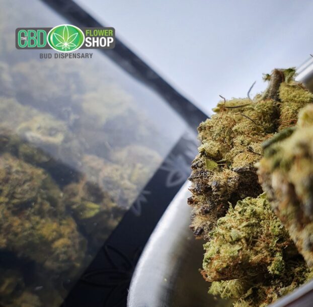 FLASH SALE - CBD Popcorn Nuggies | Popcorn Flowers - Image 5