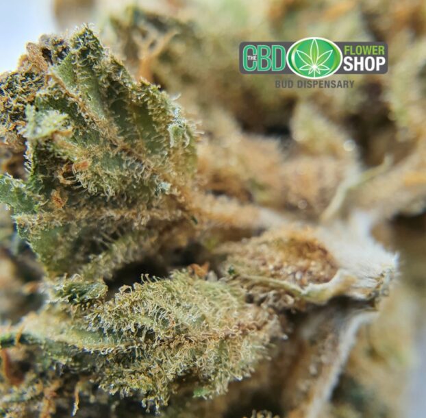 Platinum OG CBD Flower - Image 9
