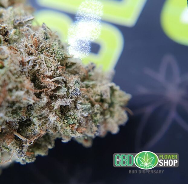 Vanilla Kush  CBD Hemp Tea Whole Flower - Image 5