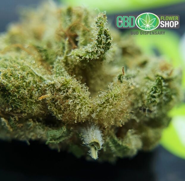 Vanilla Kush  CBD Hemp Tea Whole Flower - Image 6