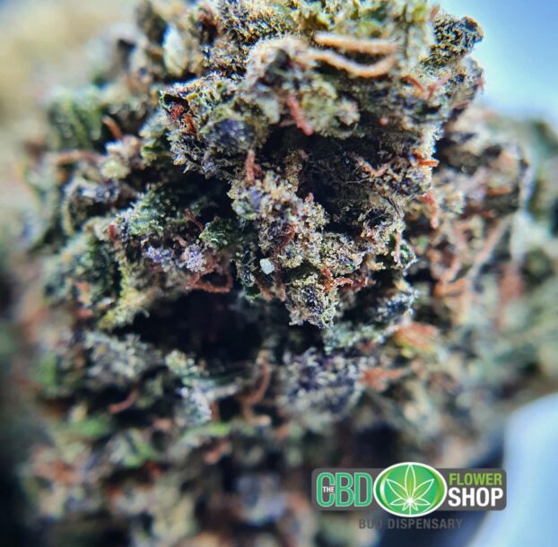 White Widow CBD Flower - Image 5