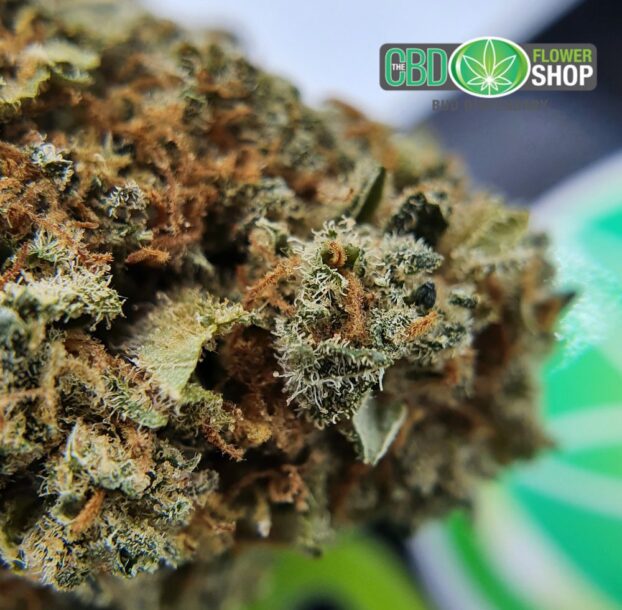 Silver Haze - Image 4