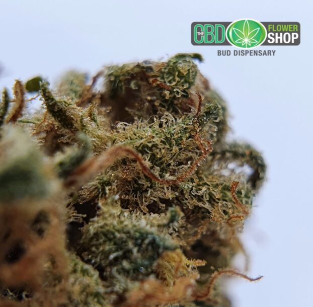 Silver Haze - Image 5