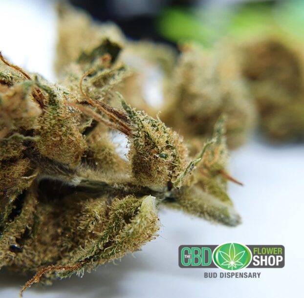 Silver Haze - Image 7