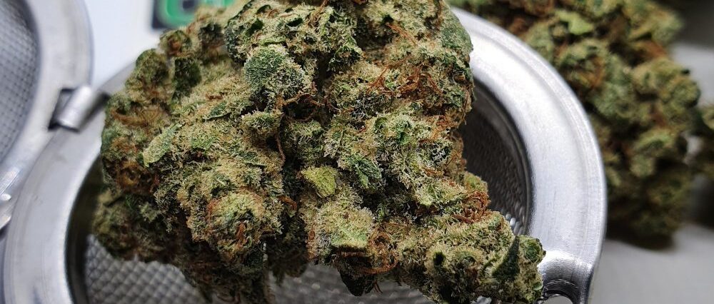 CBD