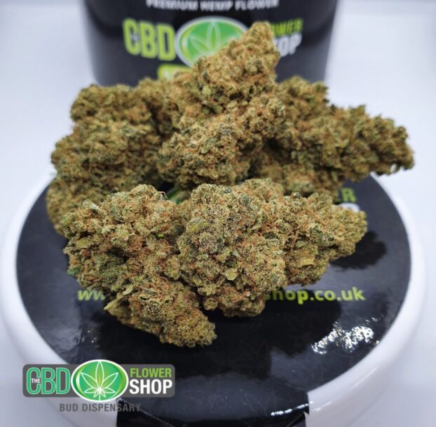 Premium CBD flower buds close-up showcasing intricate bud structure.