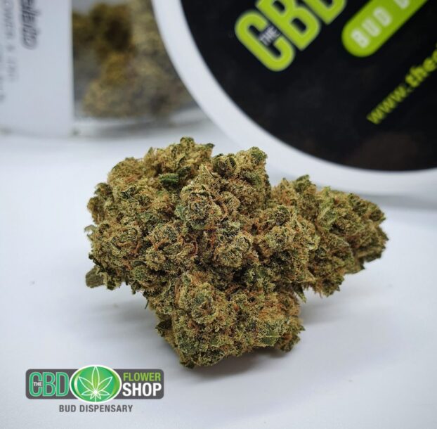 Gelato Hemp Tea Strain | CBD Whole Flower - Image 2