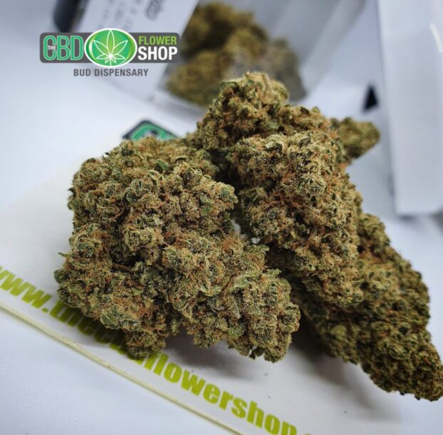 Gelato Hemp Tea Strain | CBD Whole Flower - Image 4