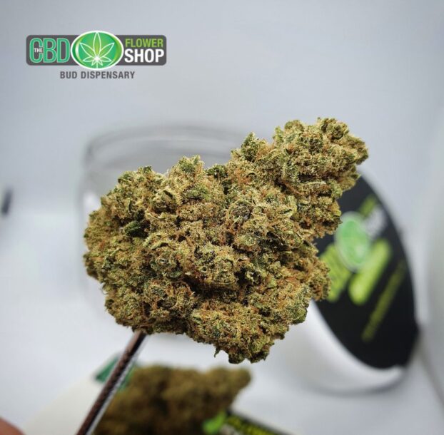 Gelato Hemp Tea Strain | CBD Whole Flower - Image 5