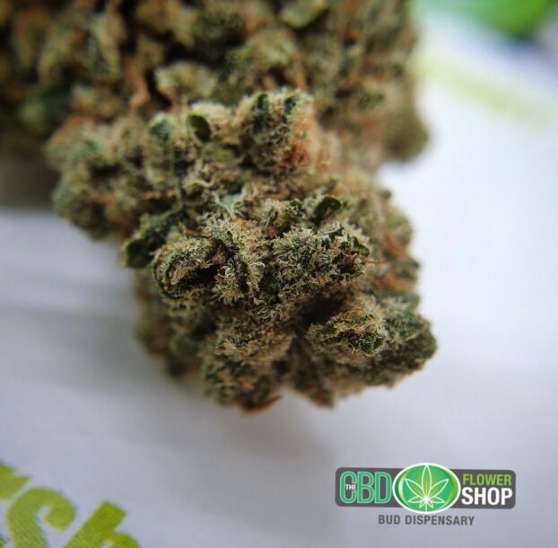 Gelato Hemp Tea Strain | CBD Whole Flower - Image 6