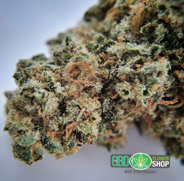 Gelato Hemp Tea Strain | CBD Whole Flower - Image 9