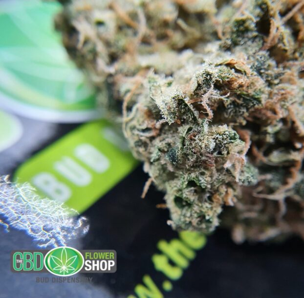 Blueberry Muffin CBD Herbal Hemp Tea - Image 10