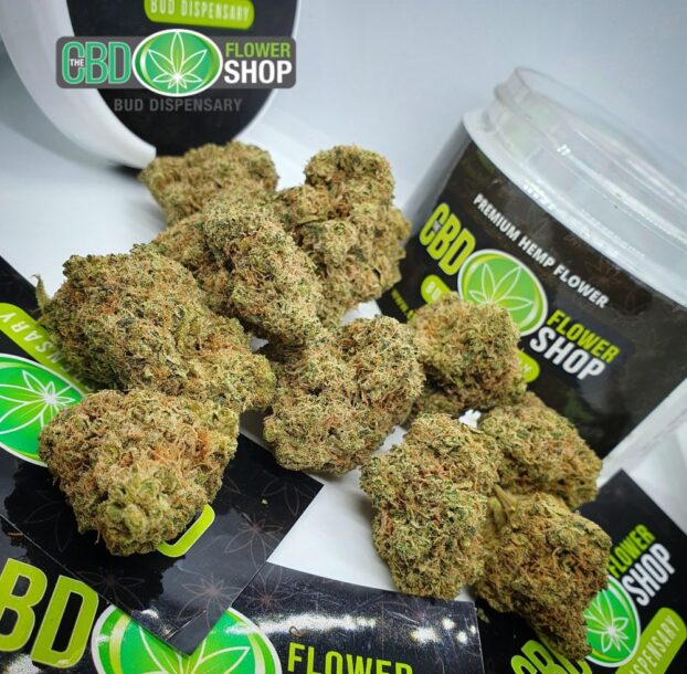 Blueberry Muffin CBD Herbal Hemp Tea - Image 3